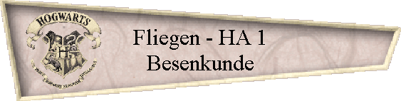 Fliegen - HA 1
Besenkunde