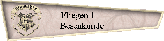 Fliegen 1 - 
Besenkunde