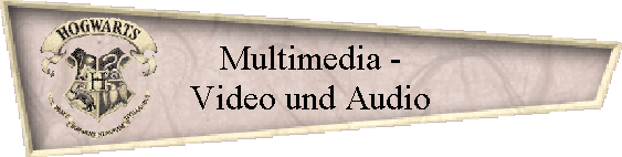 Multimedia -
Video und Audio