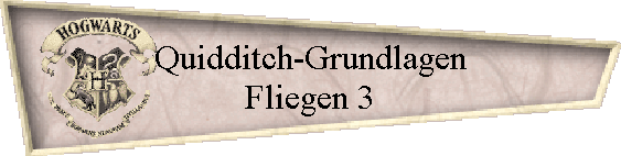 Quidditch-Grundlagen
Fliegen 3