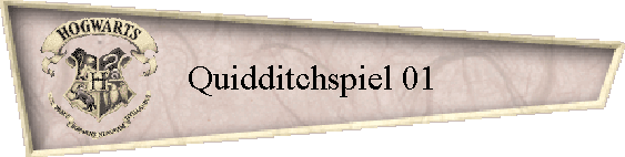 Quidditchspiel 01