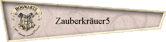 Zauberkruer5