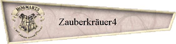 Zauberkruer4