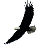 Wappentier Adler