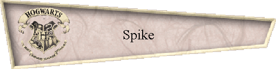 Spike