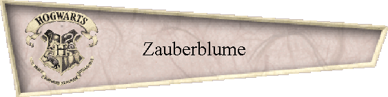 Zauberblume