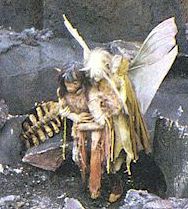 Kira fliegt Gelfling den Hang hinunter.