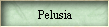 Pelusia